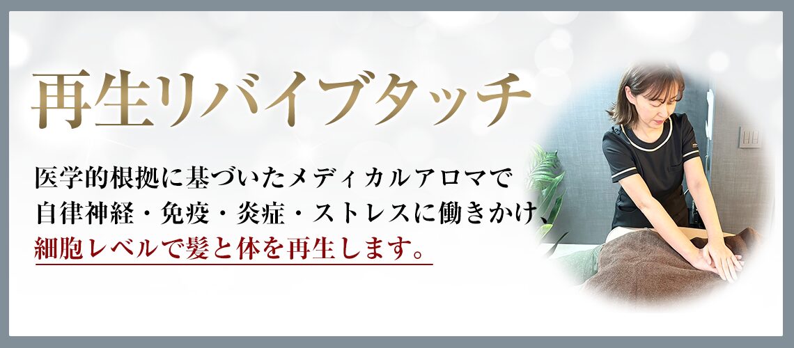 再生リバイブタッチ